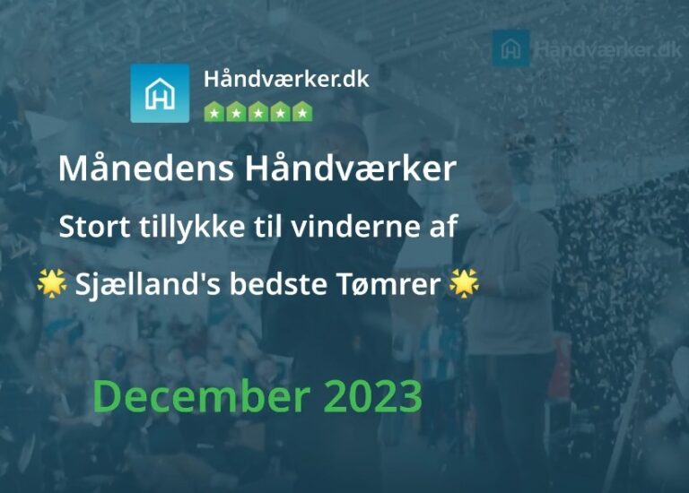 Månedens Håndværker - Sjællands bedste tømrer